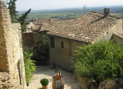 MS Bijou du Rhône auf der Rhône unterwegs – begleitete Gruppenreise mit Nicko Cruises ab Uelzen.