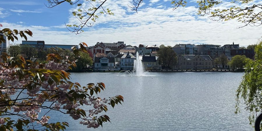 Volksbank-Gruppenreise nach Stavanger in Norwegen mit Mein Schiff 3 – malerische Fjordlandschaften und nordisches Flair erleben