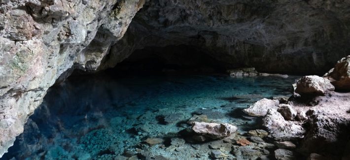 pexels-eren-sever-365654736-33407316